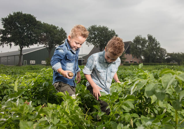 companies hiring in the netherlands