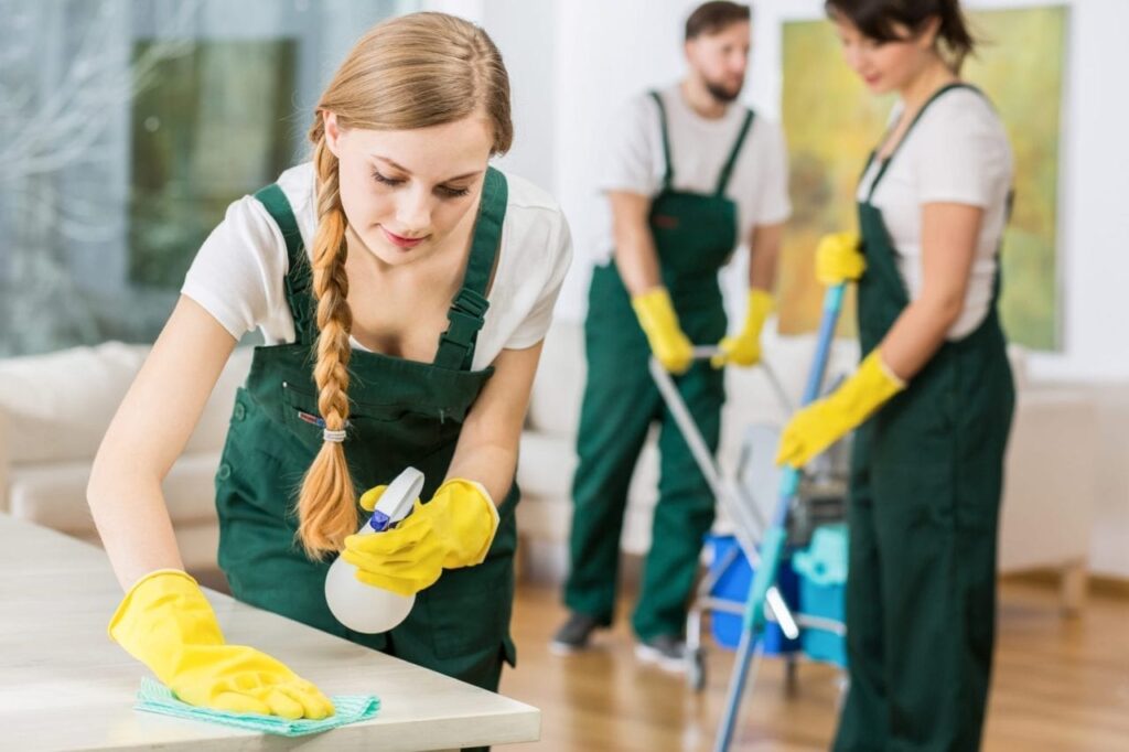 housekeepers in the netherlands