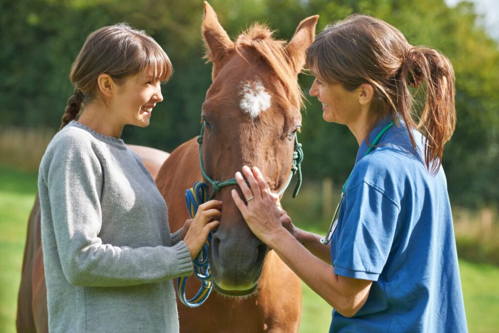 image of companies hiring an animal attendant