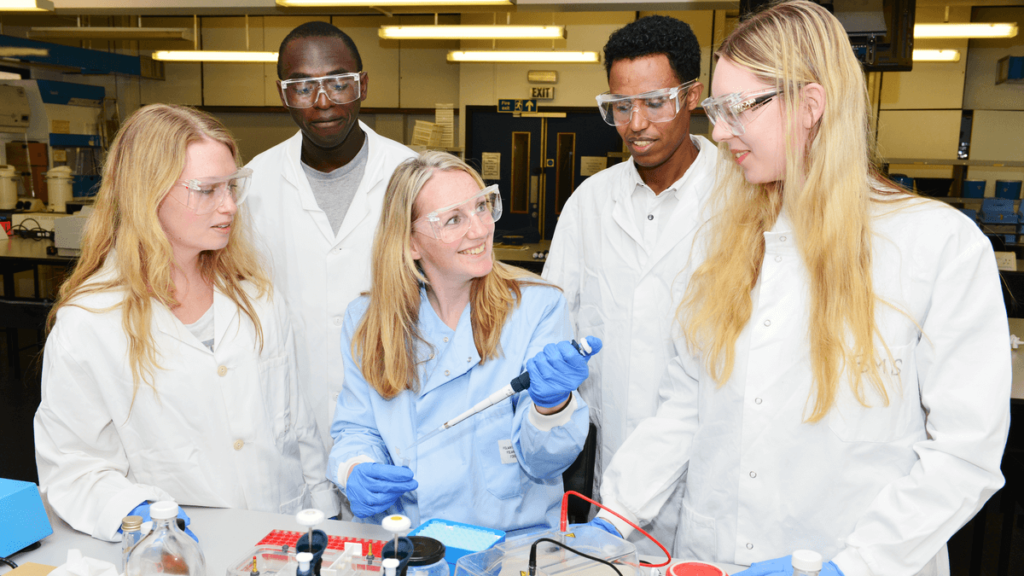 Image of multiple research assistants and a lead researcher