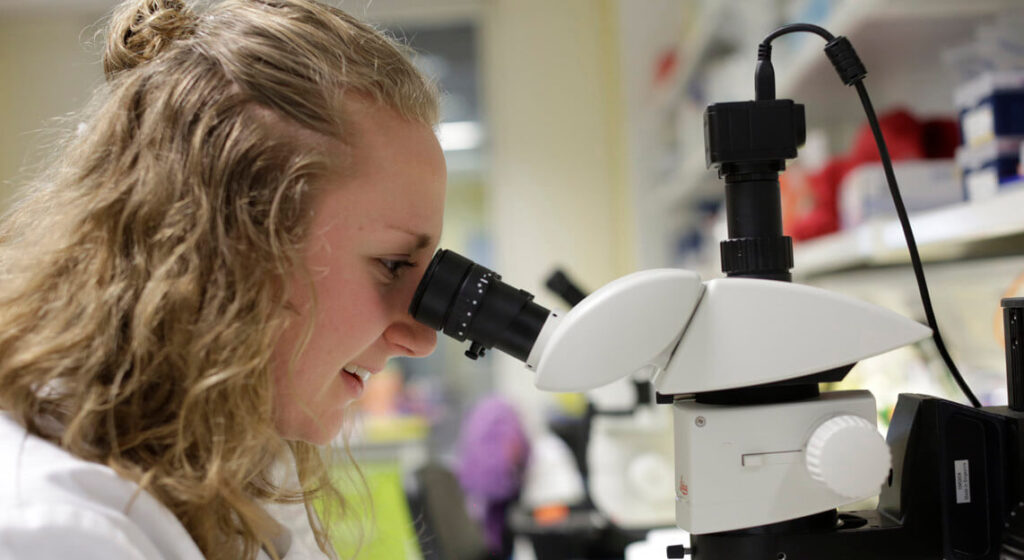 Image of a scientist looking into a microscope during a research