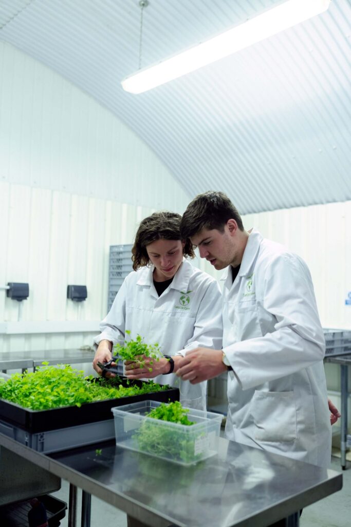 Image of 2 researchers working on a plant science project. Both of which are recipients of the Image of a research scientist who is a recipient of the global talent visa UK