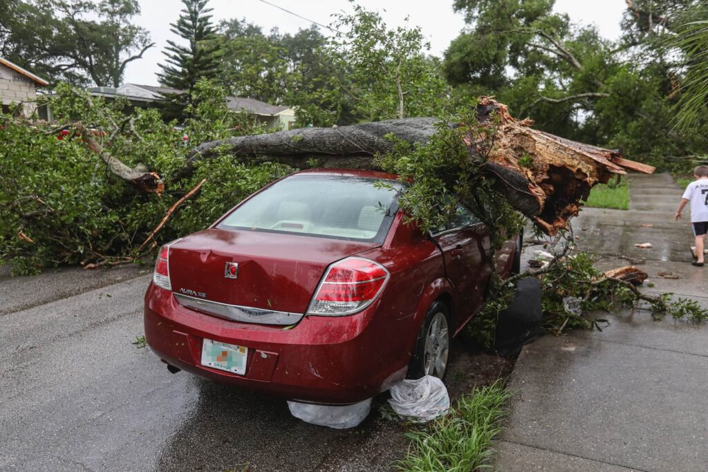 The best travel insurance for automobile accidents like when tree falls on your car