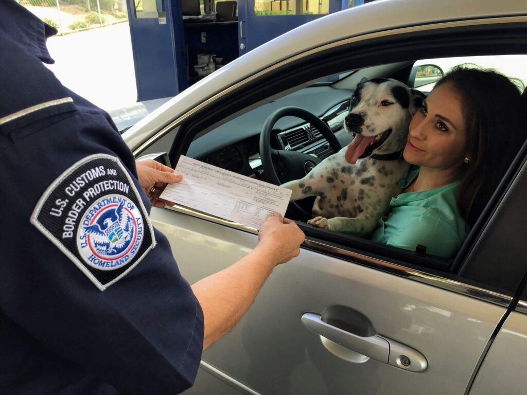 A woman in a car with her pet being checked for travel documents