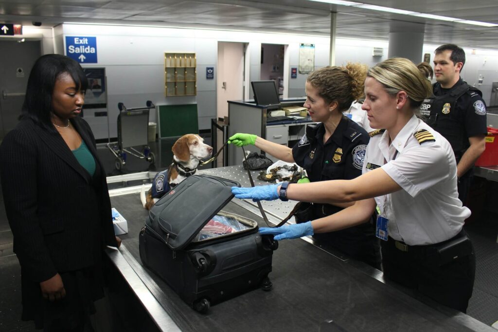 A woman whose luggage is being checked at customs desk before she enters the country